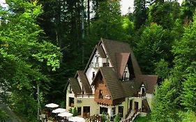 Casa Teo Sinaia